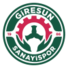 吉雷森女足logo